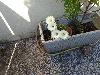 IMG 20180724 080717.jpg