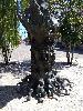 IMG 20180813 125232.jpg