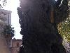 IMG 20180813 125311.jpg