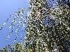 IMG 20180813 125317.jpg