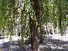 IMG 20180813 125319.jpg