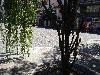 IMG 20180813 125341.jpg