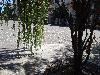 IMG 20180813 125342.jpg