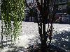 IMG 20180813 125343.jpg