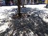 IMG 20180813 125511.jpg