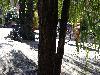 IMG 20180813 125518.jpg