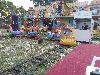 IMG 20180815 183537.jpg