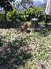 IMG 20180818 121806.jpg