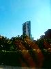 P1010002.JPG