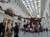 IMG 20180921 104820.jpg