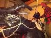 IMG 20181213 151656.jpg