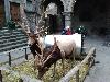 IMG 20181213 155649.jpg
