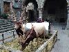 IMG 20181213 155652.jpg