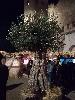 IMG 20181225 182058.jpg