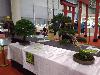 IMG 20190504 144107.jpg