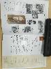 IMG 20190924 125951.jpg