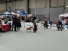 IMG 20191123 114200.jpg