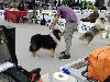 IMG 20191123 114452.jpg