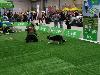 IMG 20191123 114520.jpg