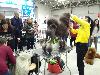 IMG 20191123 121249.jpg