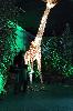 IMG 20191228 1024590.jpg