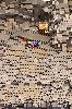 IMG 20200201 1610211.jpg