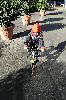 IMG 20200215 1546339.jpg