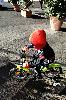 IMG 20200215 1547213.jpg