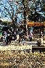 IMG 20200216 1605283.jpg